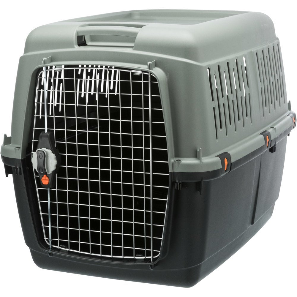Be Eco Transportbox Flugbox Giona