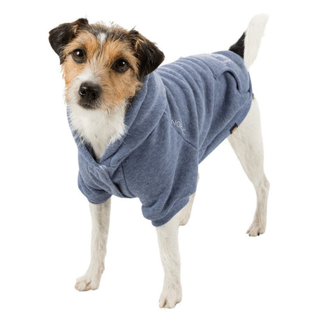 BE NORDIC Hunde Hoodie Flensburg