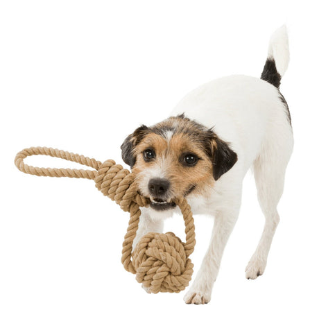 BE NORDIC Hunde Spieltau mit eingeflochtenem Ball