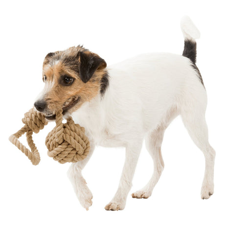 BE NORDIC Hunde Spieltau mit eingeflochtenem Ball