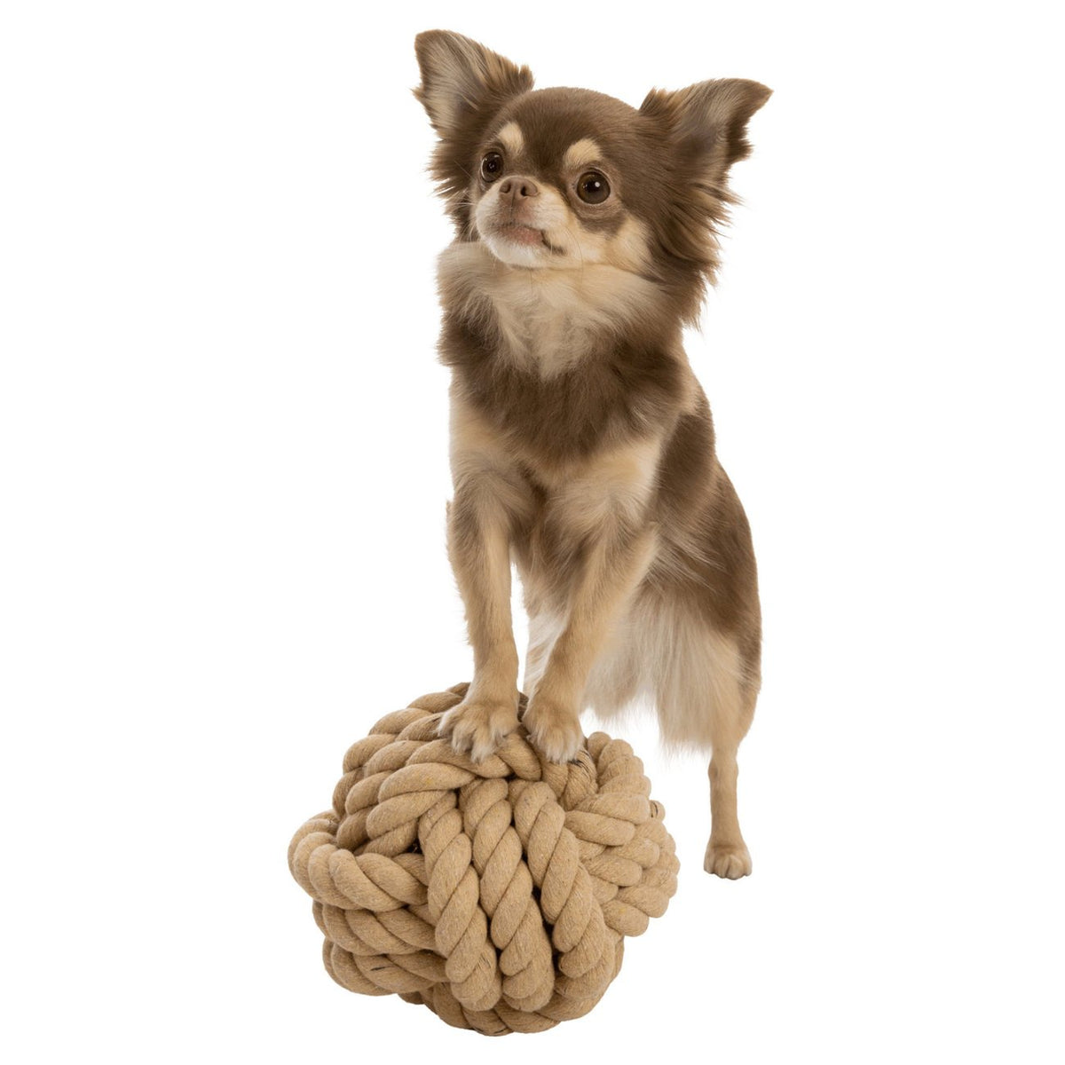 BE NORDIC Tau-Ball Hundespielzeug