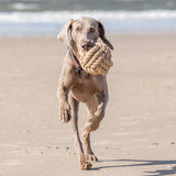 BE NORDIC Tau-Ball Hundespielzeug