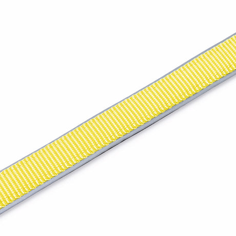 Blinkende Hundeleine Parinca Premium