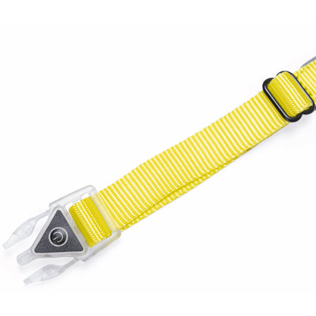 Blinkendes Halsband Parinca Premium