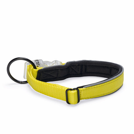 Blinkendes Halsband Parinca Premium