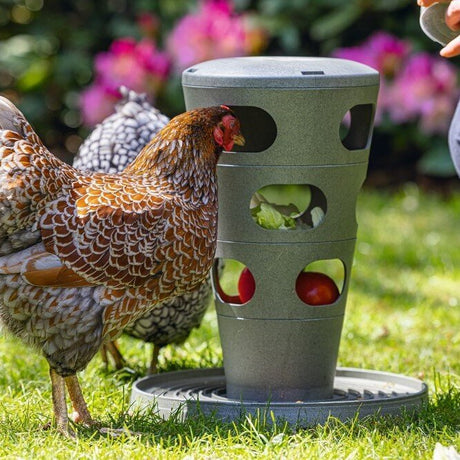 ECO Futterturm für Hühner