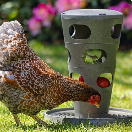 ECO Futterturm für Hühner