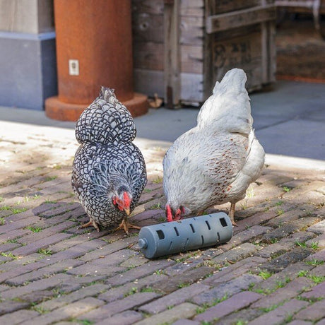 ECO Hühner Snackroller
