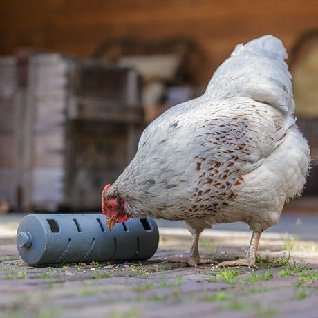 ECO Hühner Snackroller