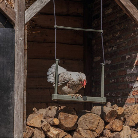 ECO recycling Hühnerschaukel