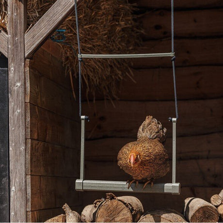 ECO recycling Hühnerschaukel