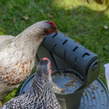 ECO Futter- und Snackrolle für Hühner