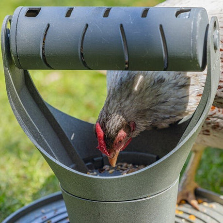 ECO Futter- und Snackrolle für Hühner