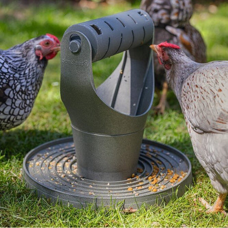ECO Futter- und Snackrolle für Hühner