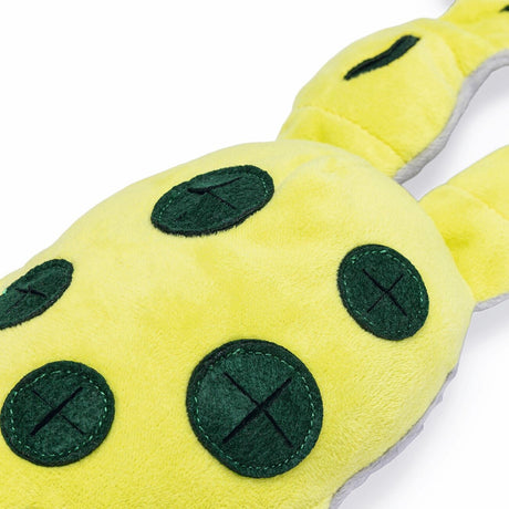 Hide and Seek Frosch Hundespielzeug