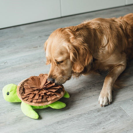 Hide and Seek Schilli Hundespielzeug