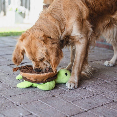 Hide and Seek Schilli Hundespielzeug