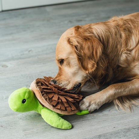 Hide and Seek Schilli Hundespielzeug
