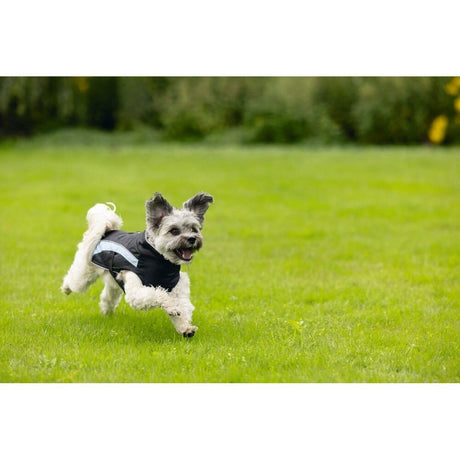 Hundemantel Saby