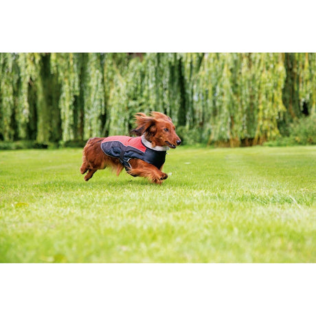 Hundemantel Saby