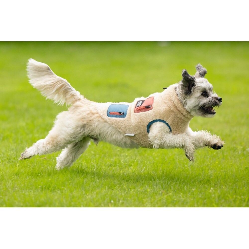 Beeztees Hundemantel Teddy
