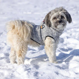 Hundepullover Celia