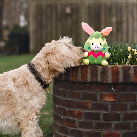 Hundespielzeug Kaninchen-Ei Titi
