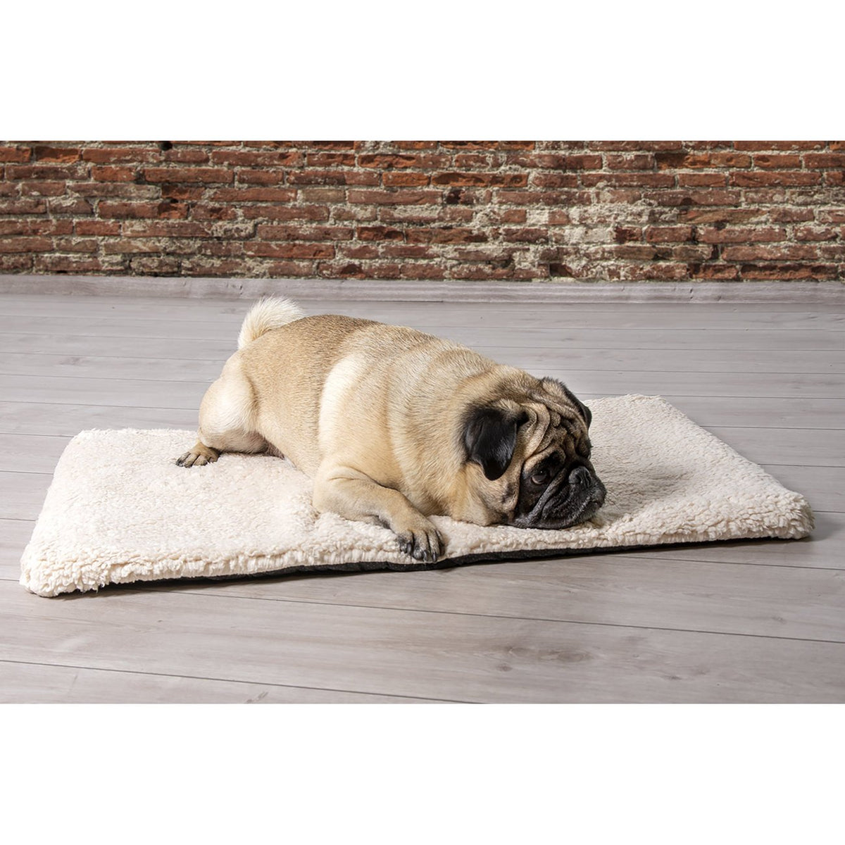 Beeztees Memoryfoam Liegekissen Ito für Hunde