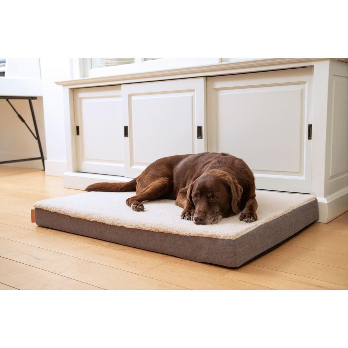Beeztees Memoryfoam Liegekissen Zira für Hunde