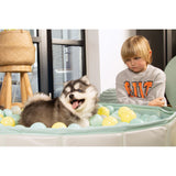 Beeztees Puppy Bällebad Hundepool Funchie