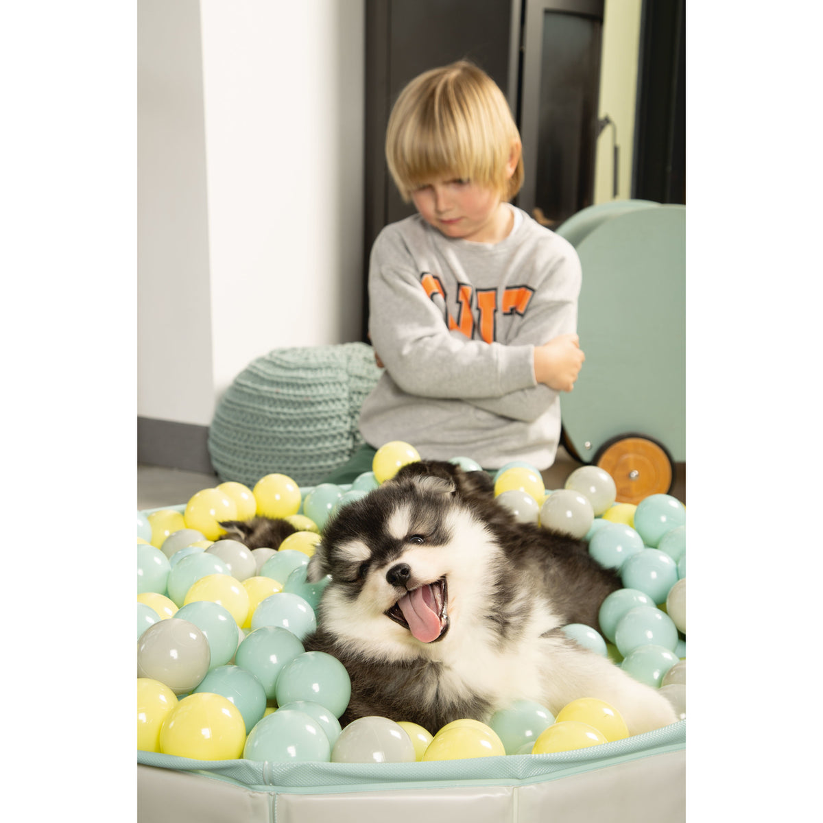 Beeztees Puppy Bällebad Hundepool Funchie