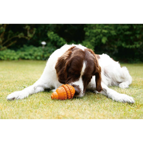 BEEZTEES Sumo Play Dental