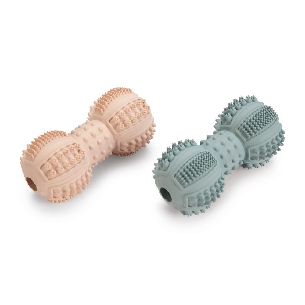 Welpen Dental Hantel – mint