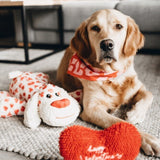 XL Hundespielzeug Knuffel Suki mit Sound