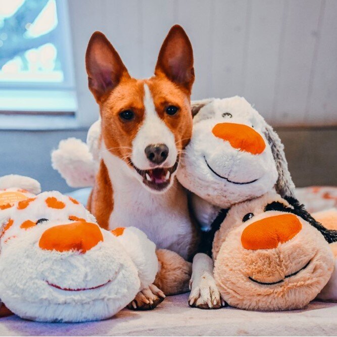 XL Kuschelspielzeug Hund mit Herznase
