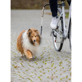 Biker-Set Hunde Abstandhalter für Fahrräder