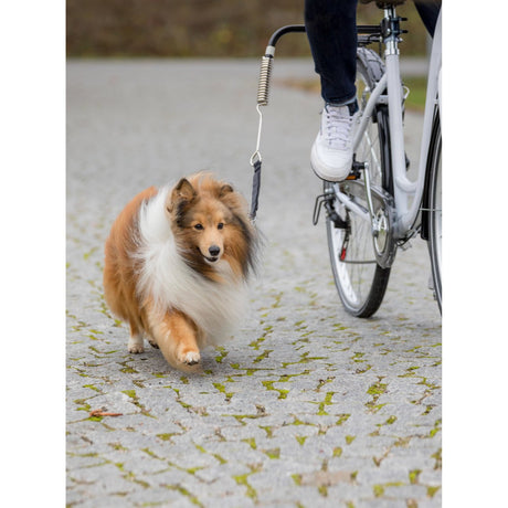 Biker-Set Hunde Abstandhalter für Fahrräder