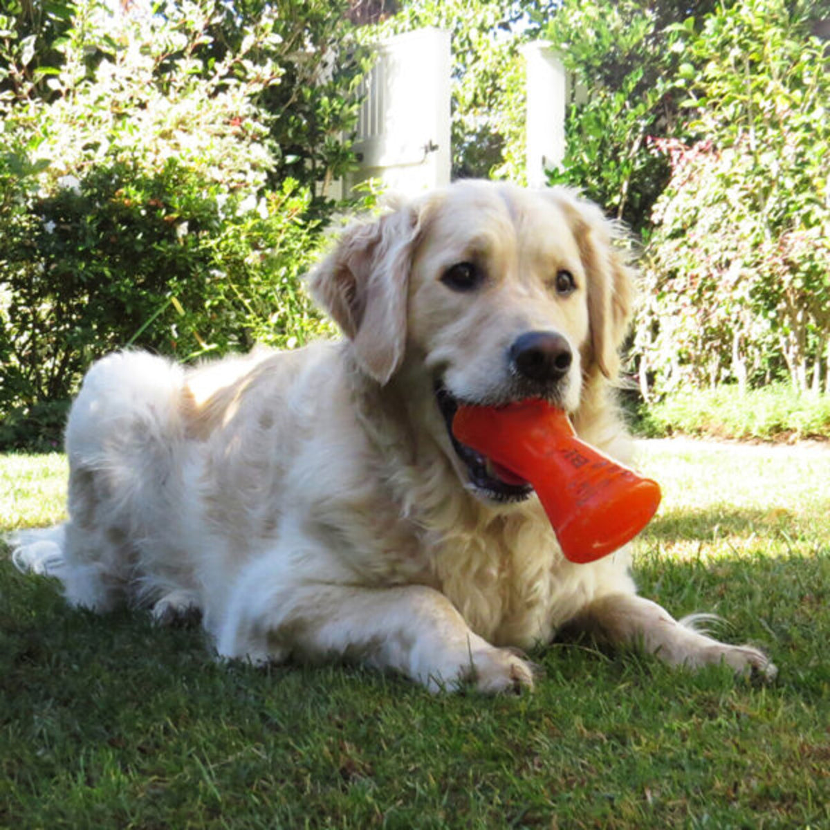 Bionic Bone langlebiges Hundespielzeug