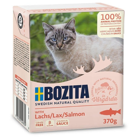 Häppchen in Sauce im Tetra Recart Katzenfutter – 6x370g, Lachs