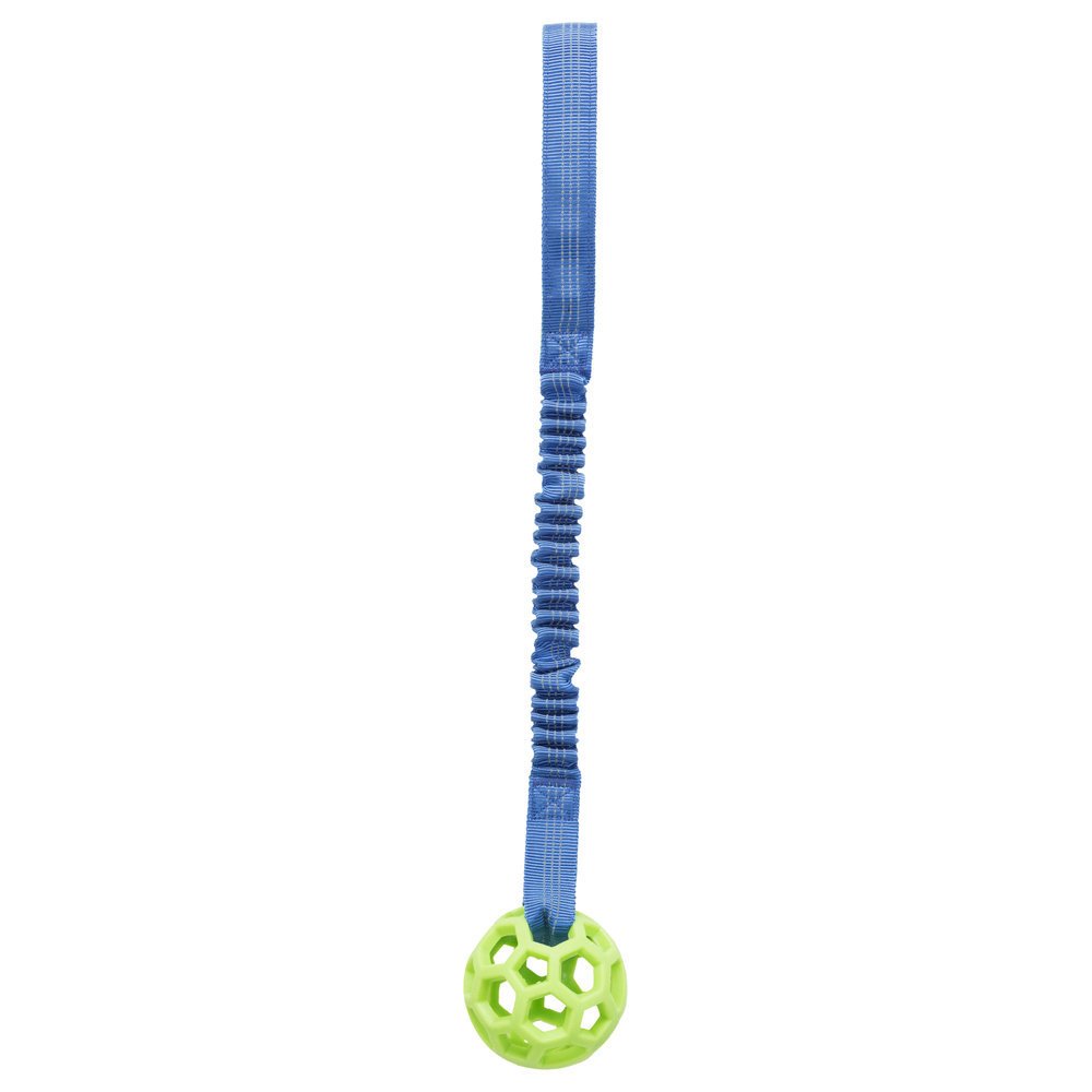 Bungee Tugger mit Ball