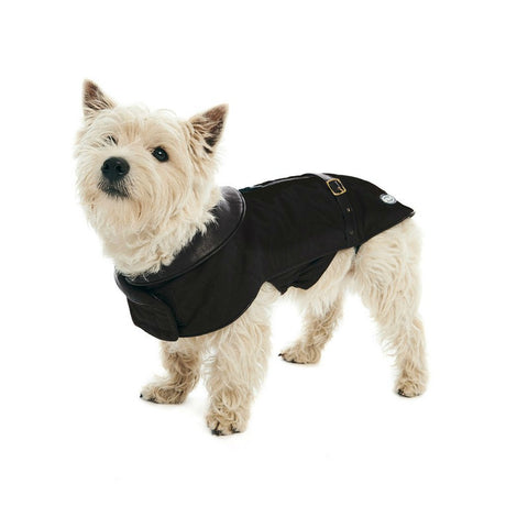 City Hundemantel