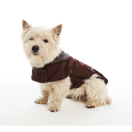 City Hundemantel