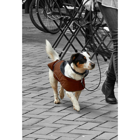 City Hundemantel