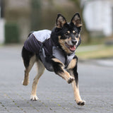 Hundewintermantel Iso Reflex