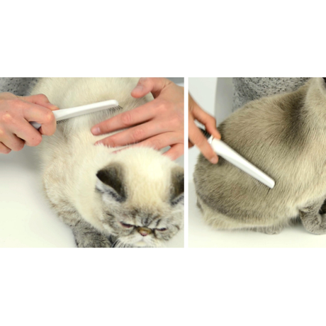 Catit Grooming Kit - Bürsten-Set für Katzen