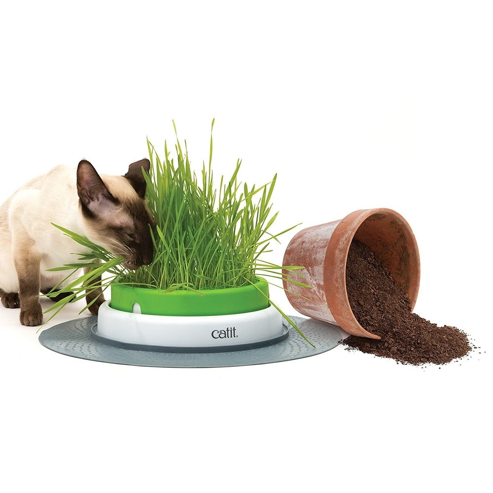 catit Senses 2.0 Grastopf Grass Planter