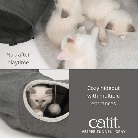 Catit Vesper Katzen Tunnel