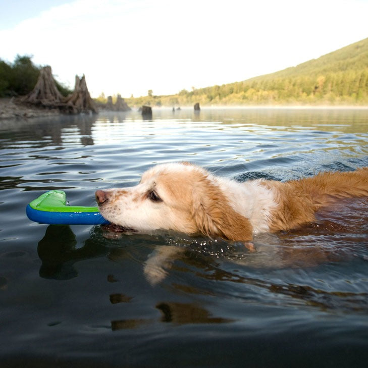 Chuckit! Amphibious Boomerang Hunde Bumerang