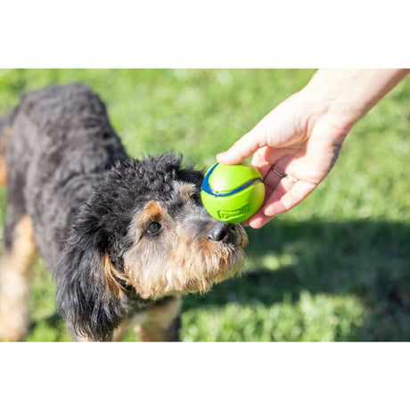 Chuckit! Sniff Fetch Ball Bacon & Peanut Butter