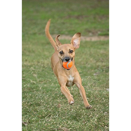 Chuckit! Tennis Ball